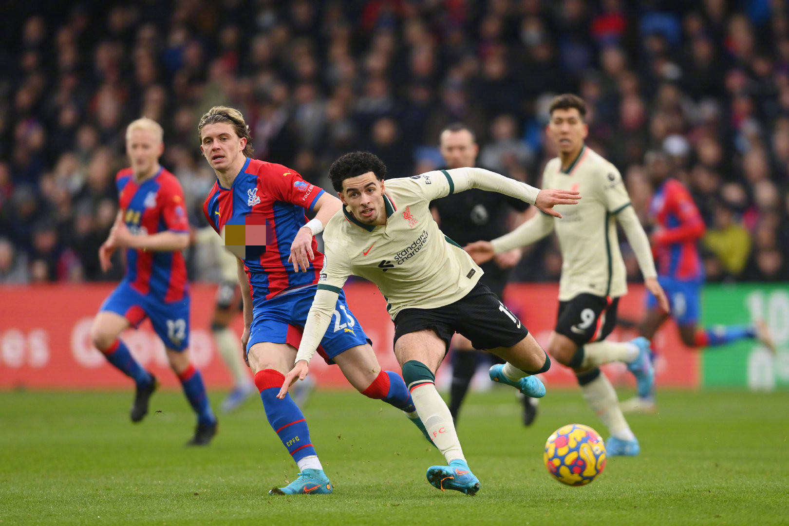 后潜藏的巨 后潜藏的巨